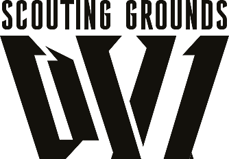 DV1SG logo