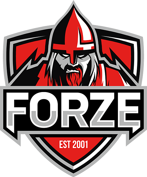 Team forZe (forZe eSports) Dota 2, roster, matches, statistics