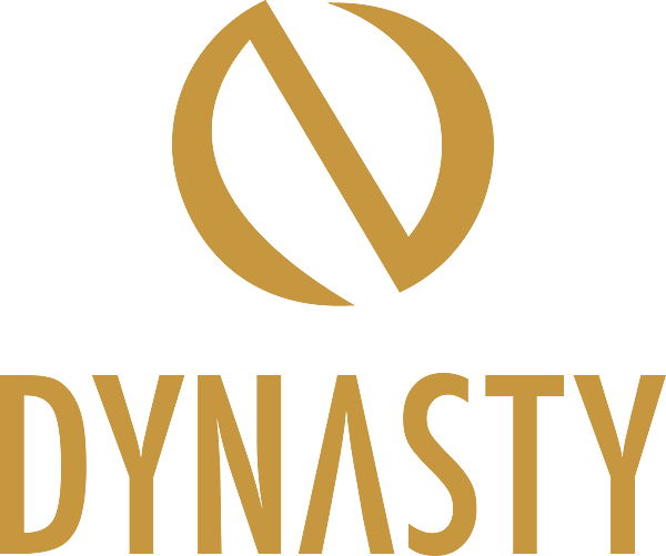 DYN logo