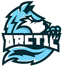 Arctic Team