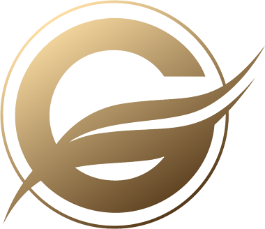 VLG logo