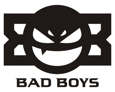 Team Badboys Dota 2, roster, matches, statistics