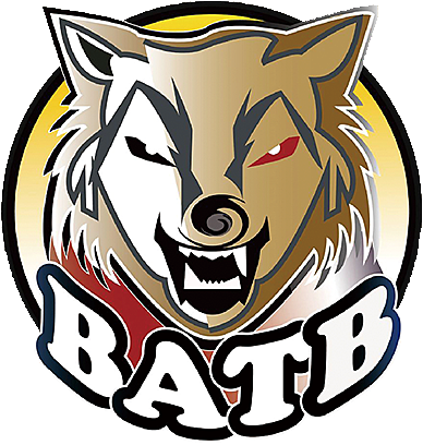 SWB logo
