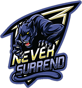 PNS logo