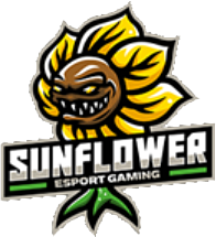 Team Sg Sunflower Gaming Dota 2 Roster Matches Statistics