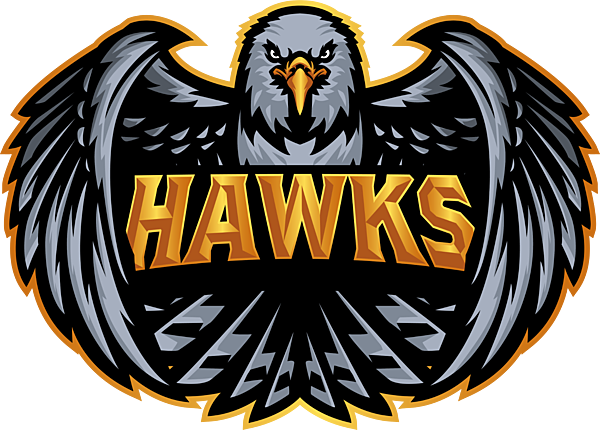 Team HAW (Hawks) PUBG, roster, matches, statistics