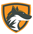 DFX logo