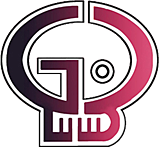 L3G logo