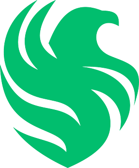Falcons logo
