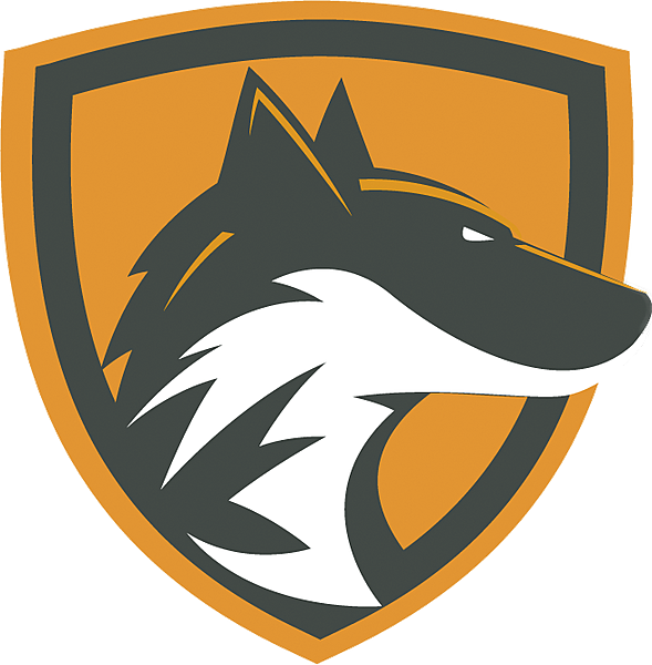 dfx lol: A Comprehensive Overview for Serious Players