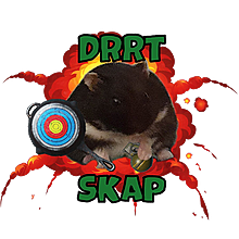 Drrt Skap logo