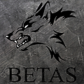 BS logo