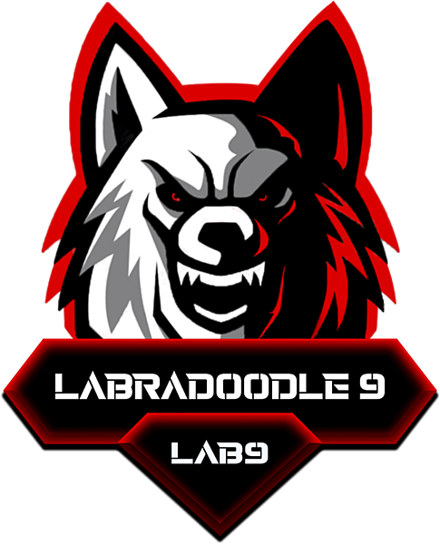 LAB9 logo
