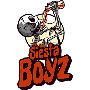 BOYZ logo