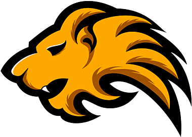 Team RT (RECOGNISED TALENT) CS:GO, roster, matches, statistics