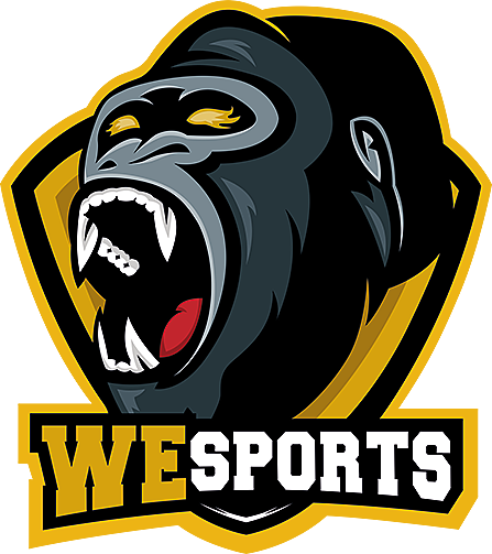 WeS logo