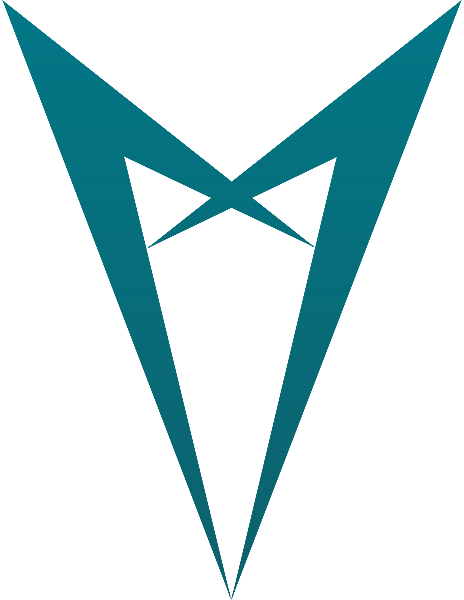 P11 logo