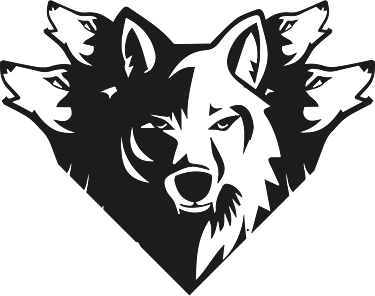ARAVA logo